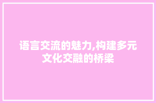 语言交流的魅力,构建多元文化交融的桥梁
