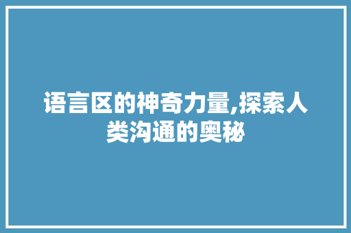 语言区的神奇力量,探索人类沟通的奥秘