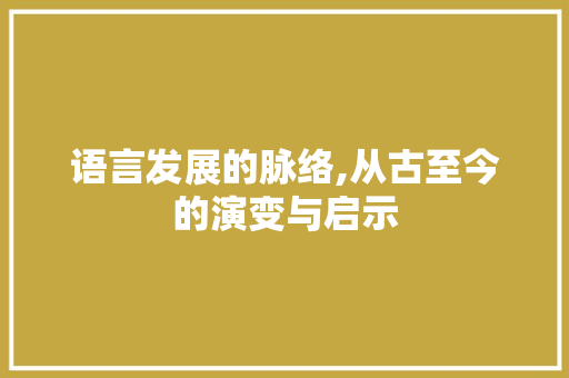 语言发展的脉络,从古至今的演变与启示