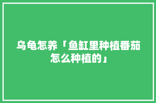 乌龟怎养「鱼缸里种植番茄怎么种植的」