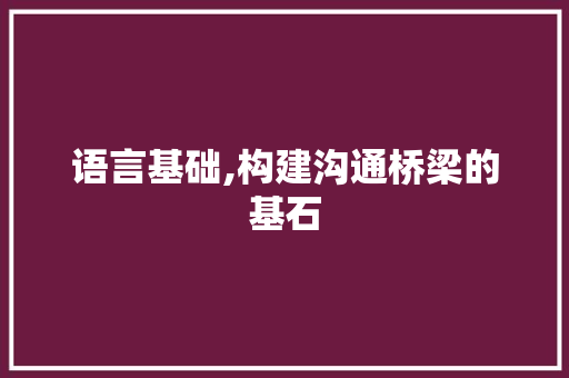 语言基础,构建沟通桥梁的基石