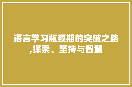 语言学习瓶颈期的突破之路,探索、坚持与智慧
