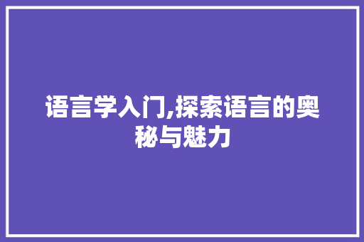 语言学入门,探索语言的奥秘与魅力