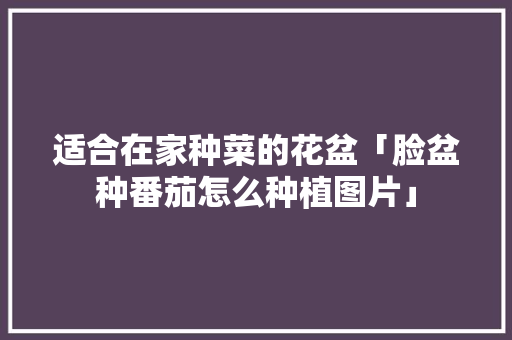 适合在家种菜的花盆「脸盆种番茄怎么种植图片」 适合在家种菜的花盆「脸盆种番茄怎么种植图片」 植物种类