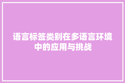 语言标签类别在多语言环境中的应用与挑战