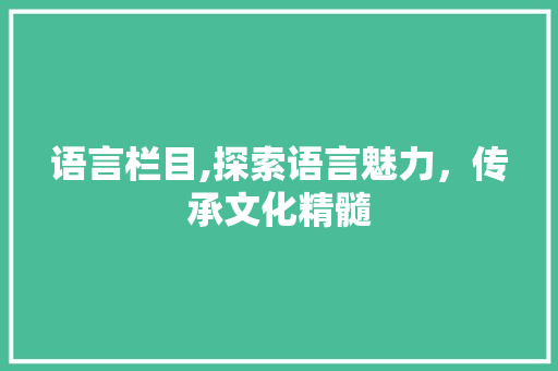 语言栏目,探索语言魅力，传承文化精髓