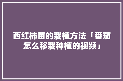 西红柿苗的栽植方法「番茄怎么移栽种植的视频」 西红柿苗的栽植方法「番茄怎么移栽种植的视频」 花朵知识