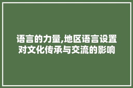 语言的力量,地区语言设置对文化传承与交流的影响