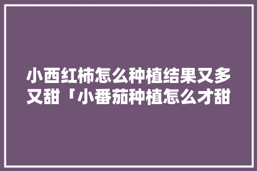 小西红柿怎么种植结果又多又甜「小番茄种植怎么才甜呢」 农业常识 小西红柿怎么种植结果又多又甜「小番茄种植怎么才甜呢」 小西红柿怎么种植结果又多又甜「小番茄种植怎么才甜呢」 农业常识