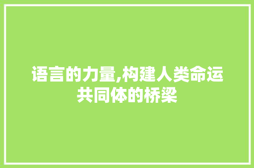 语言的力量,构建人类命运共同体的桥梁