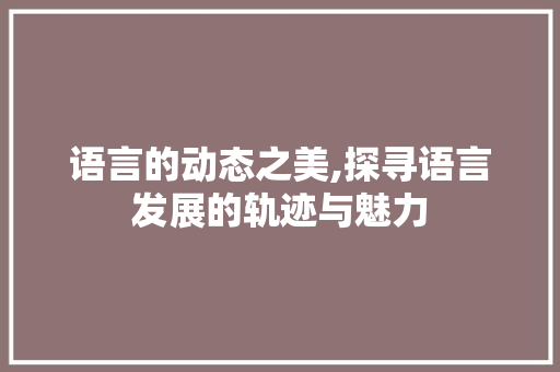 语言的动态之美,探寻语言发展的轨迹与魅力