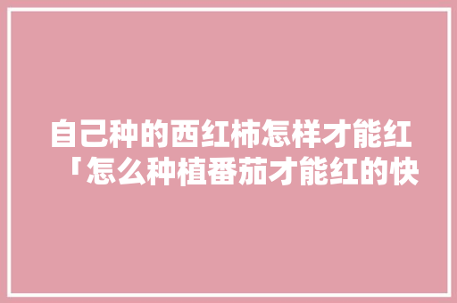 自己种的西红柿怎样才能红「怎么种植番茄才能红的快一点」 自己种的西红柿怎样才能红「怎么种植番茄才能红的快一点」 花朵知识