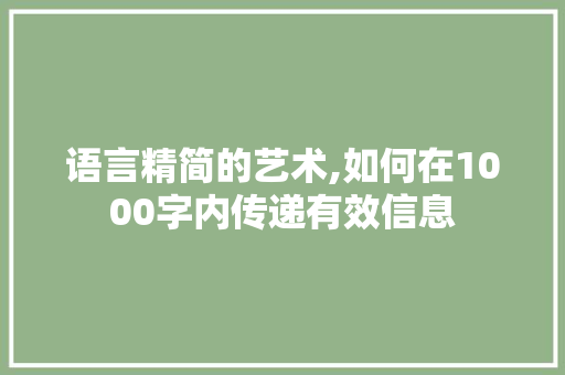 语言精简的艺术,如何在1000字内传递有效信息