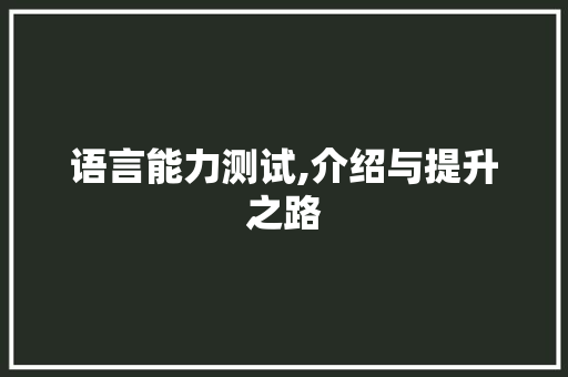 语言能力测试,介绍与提升之路