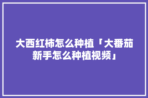 大西红柿怎么种植「大番茄新手怎么种植视频」 大西红柿怎么种植「大番茄新手怎么种植视频」 番茄病虫害防治