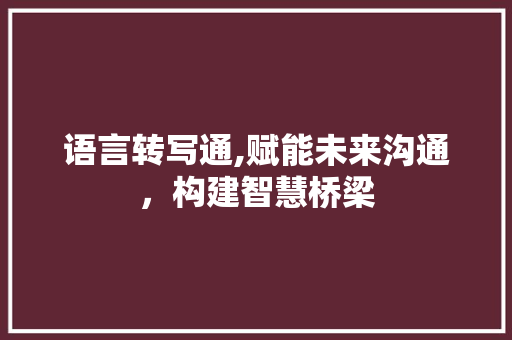 语言转写通,赋能未来沟通，构建智慧桥梁