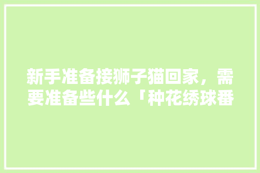 新手准备接狮子猫回家，需要准备些什么「种花绣球番茄怎么种植视频」