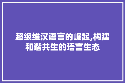 超级维汉语言的崛起,构建和谐共生的语言生态