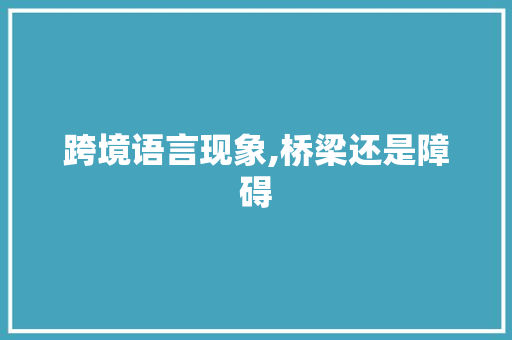 跨境语言现象,桥梁还是障碍