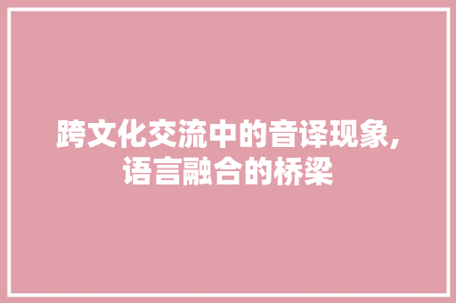 跨文化交流中的音译现象,语言融合的桥梁