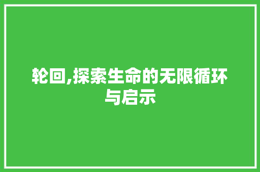 轮回,探索生命的无限循环与启示