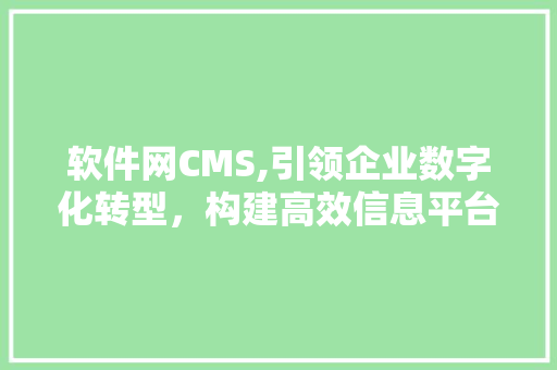 软件网CMS,引领企业数字化转型，构建高效信息平台