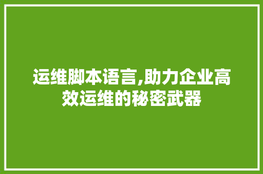 运维脚本语言,助力企业高效运维的秘密武器