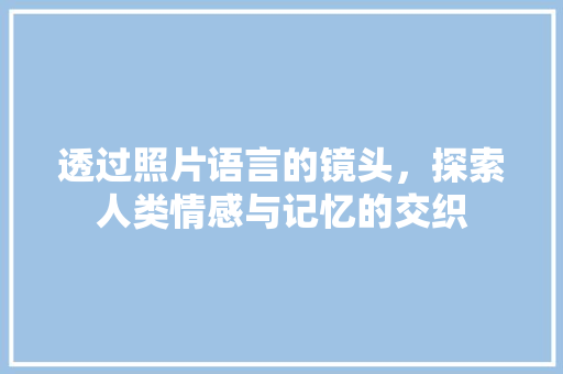 透过照片语言的镜头，探索人类情感与记忆的交织