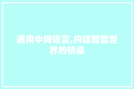 通用中间语言,构建智能世界的桥梁