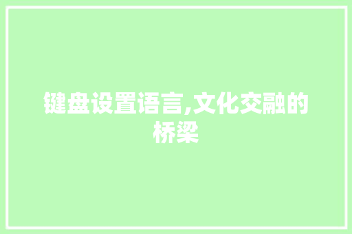键盘设置语言,文化交融的桥梁