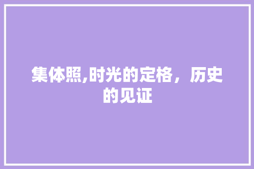 集体照,时光的定格，历史的见证
