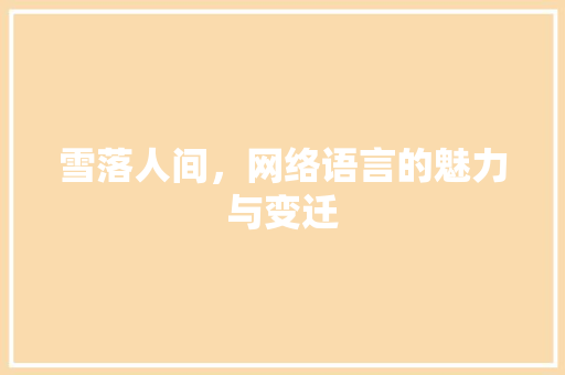 雪落人间，网络语言的魅力与变迁