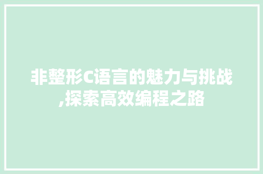 非整形C语言的魅力与挑战,探索高效编程之路