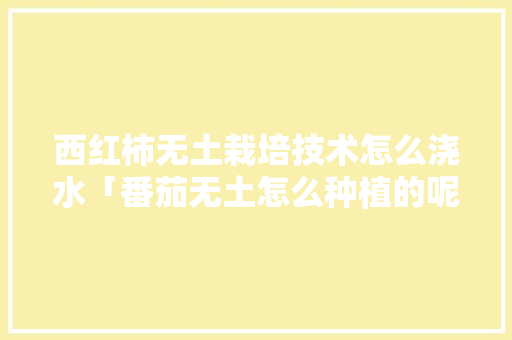 西红柿无土栽培技术怎么浇水「番茄无土怎么种植的呢视频」 番茄种植技巧 西红柿无土栽培技术怎么浇水「番茄无土怎么种植的呢视频」 西红柿无土栽培技术怎么浇水「番茄无土怎么种植的呢视频」 番茄种植技巧