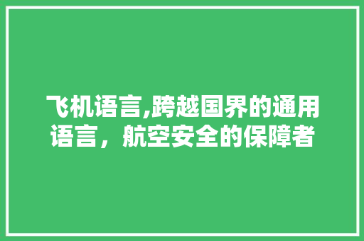 飞机语言,跨越国界的通用语言，航空安全的保障者