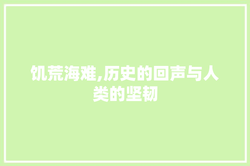 饥荒海难,历史的回声与人类的坚韧