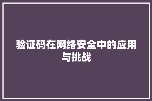 验证码在网络安全中的应用与挑战