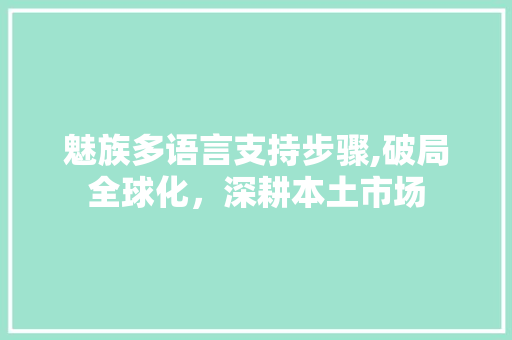 魅族多语言支持步骤,破局全球化，深耕本土市场