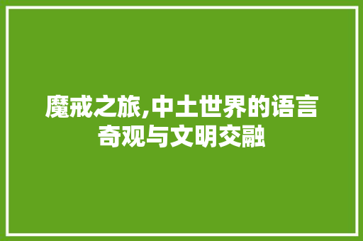 魔戒之旅,中土世界的语言奇观与文明交融