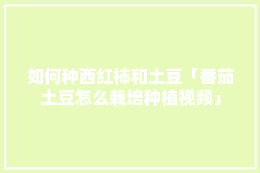 如何种西红柿和土豆「番茄土豆怎么栽培种植视频」 如何种西红柿和土豆「番茄土豆怎么栽培种植视频」 农业常识