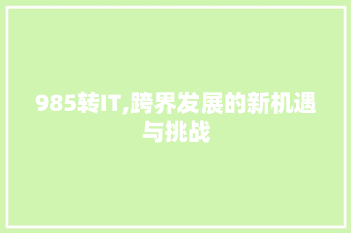 985转IT,跨界发展的新机遇与挑战