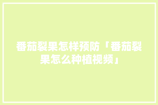 番茄裂果怎样预防「番茄裂果怎么种植视频」