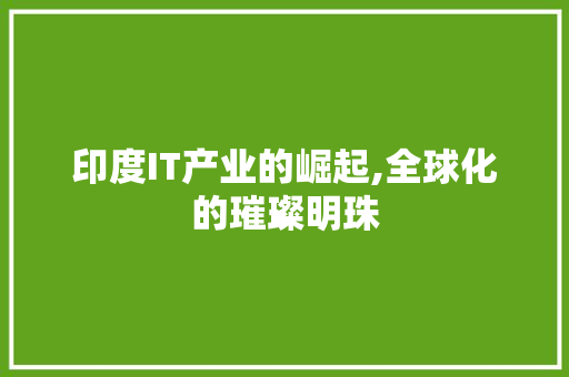 印度IT产业的崛起,全球化的璀璨明珠