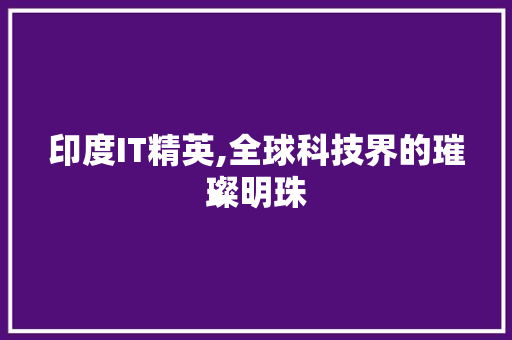 印度IT精英,全球科技界的璀璨明珠