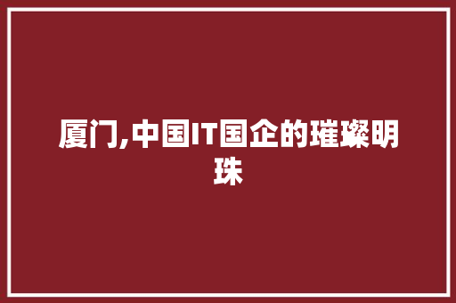 厦门,中国IT国企的璀璨明珠