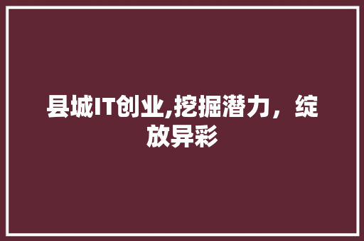 县城IT创业,挖掘潜力，绽放异彩