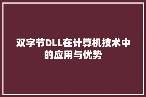 双字节DLL在计算机技术中的应用与优势