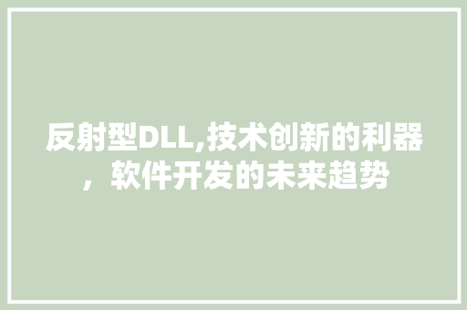 反射型DLL,技术创新的利器，软件开发的未来趋势