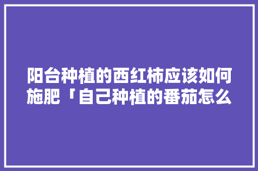 阳台种植的西红柿应该如何施肥「自己种植的番茄怎么施肥呢」 阳台种植的西红柿应该如何施肥「自己种植的番茄怎么施肥呢」 花朵知识