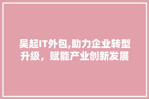 吴起IT外包,助力企业转型升级，赋能产业创新发展